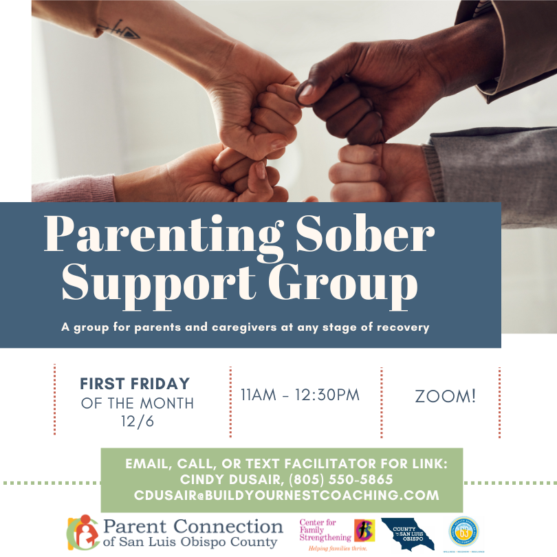 Parenting Sober Support Group 