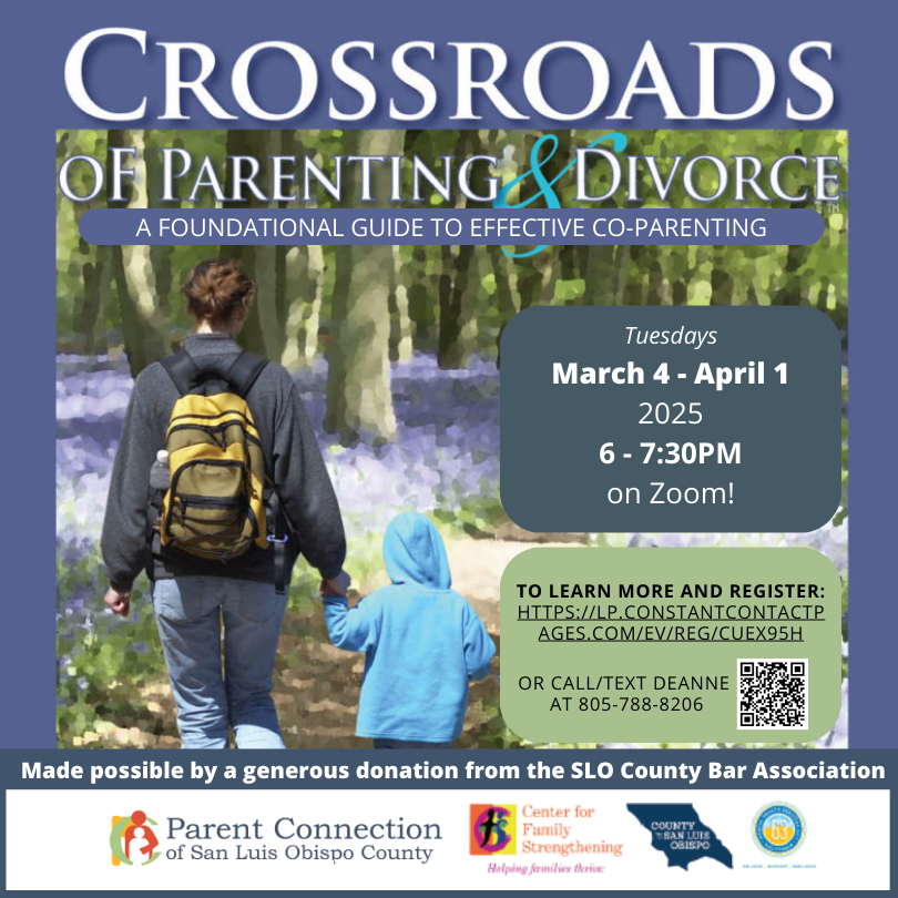 Crossroads of Parenting & Divorce